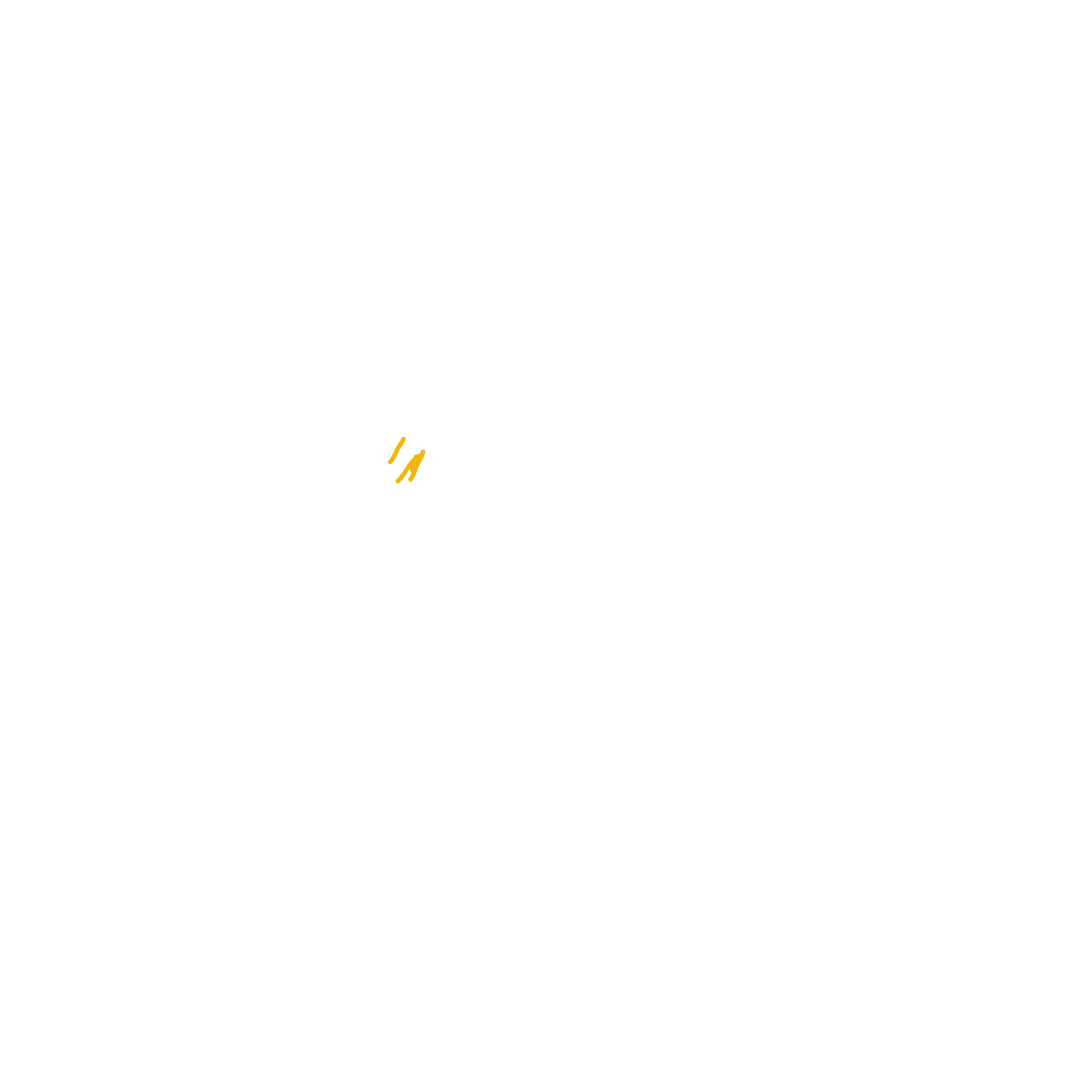 CRAFT ISLAND LOGO WHITE