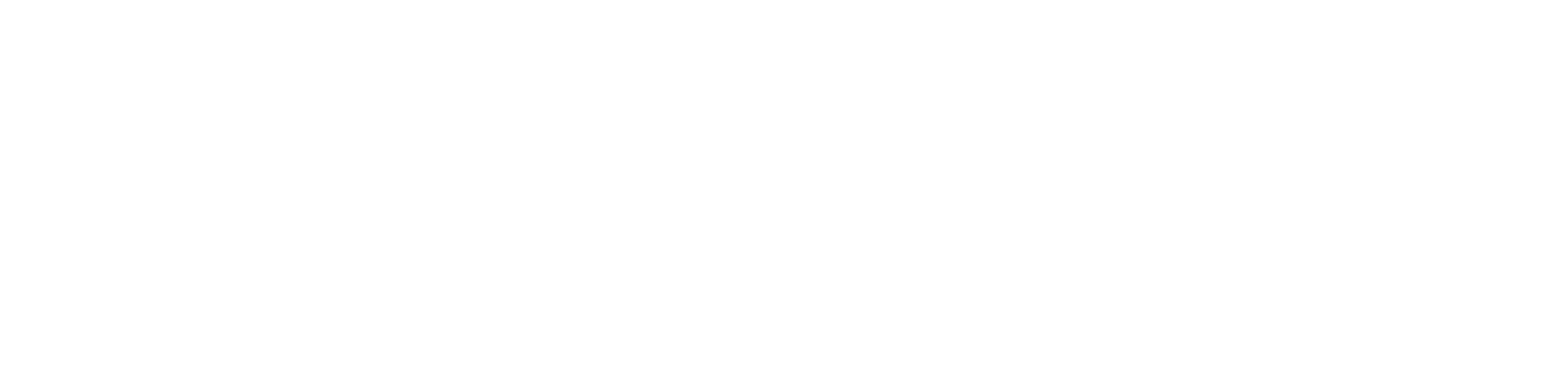 cw logo white